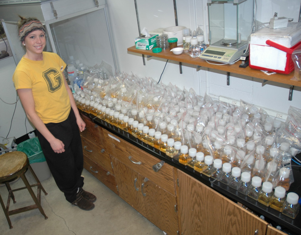 Seelen working in a lab at Gustavus. 