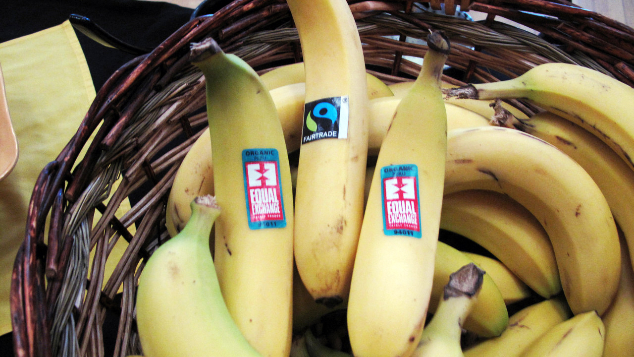 Case of Organic & Fair Trade Bananas (Ecuador), 40 lb, Equal Exchange