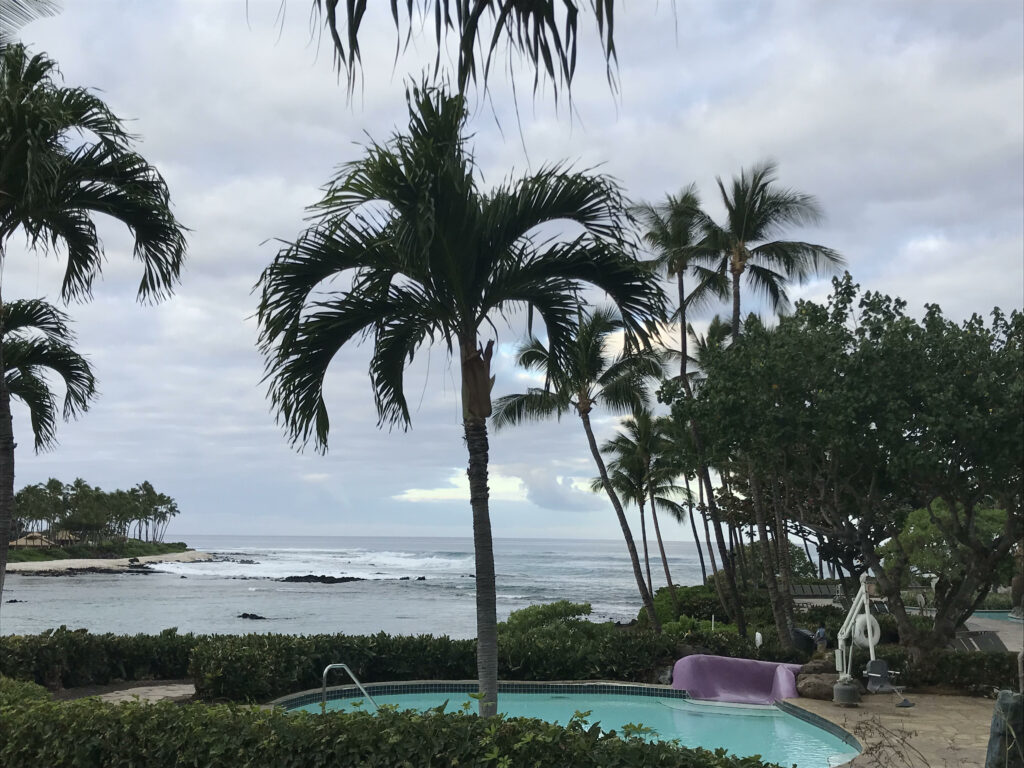 Dispatch #1 from Hawaii, Beyond Tourism - The January Interim