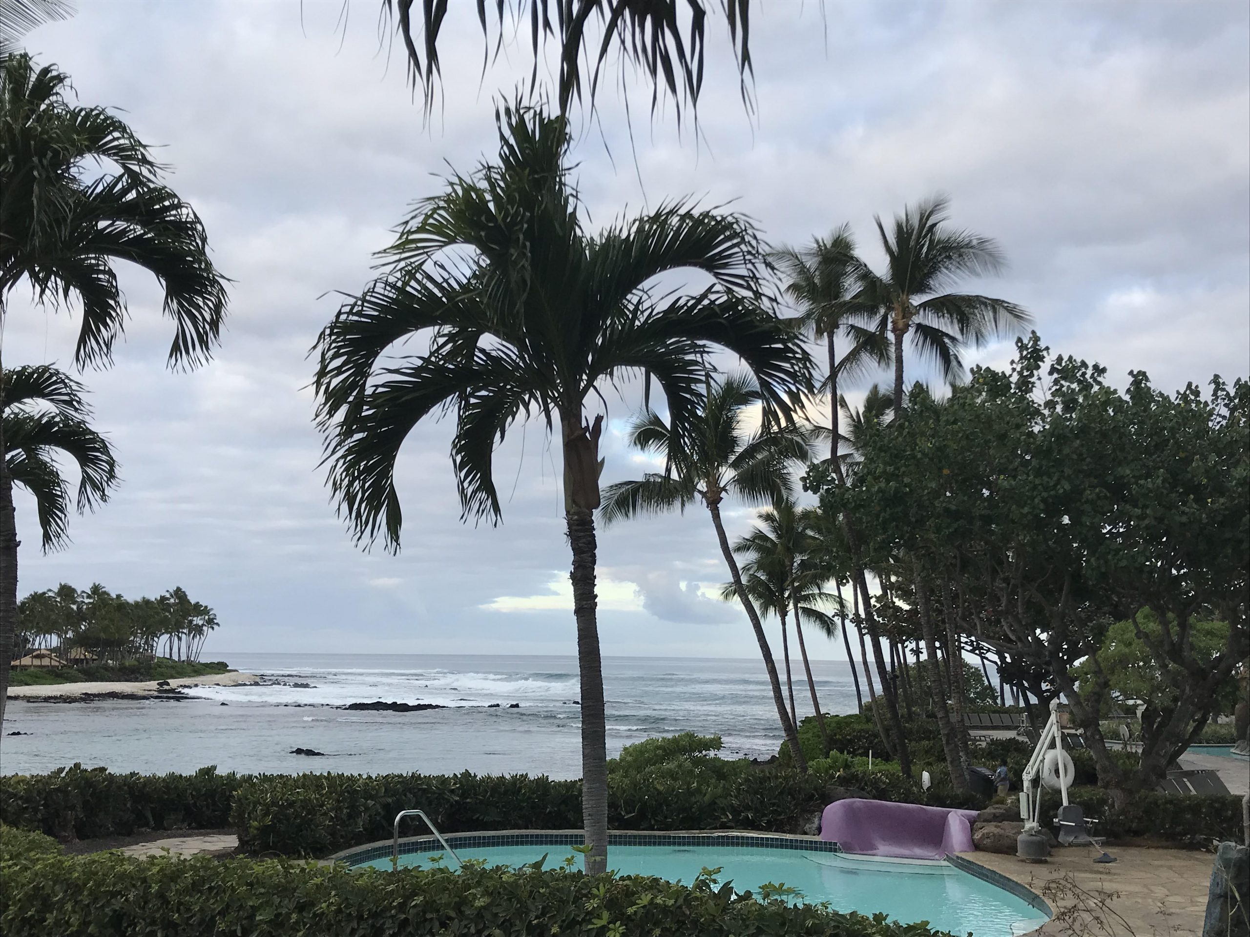 Dispatch #1 from Hawaii, Beyond Tourism