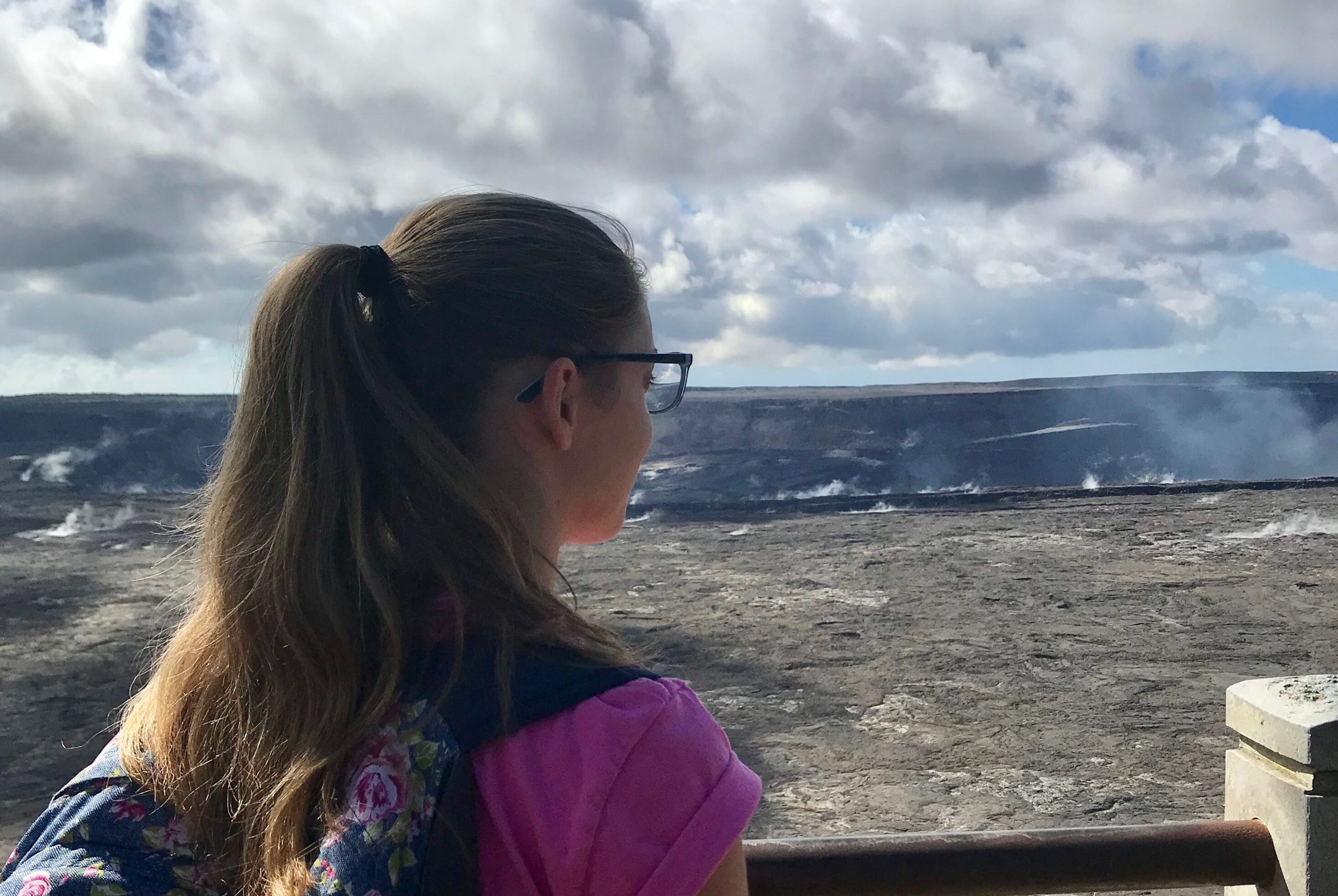 Dispatch #3 from Hawaii, Beyond Tourism