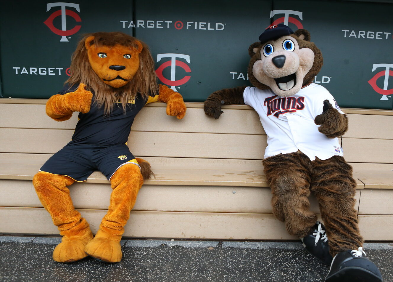 Gustavus to Host Night at the Minnesota Twins this June