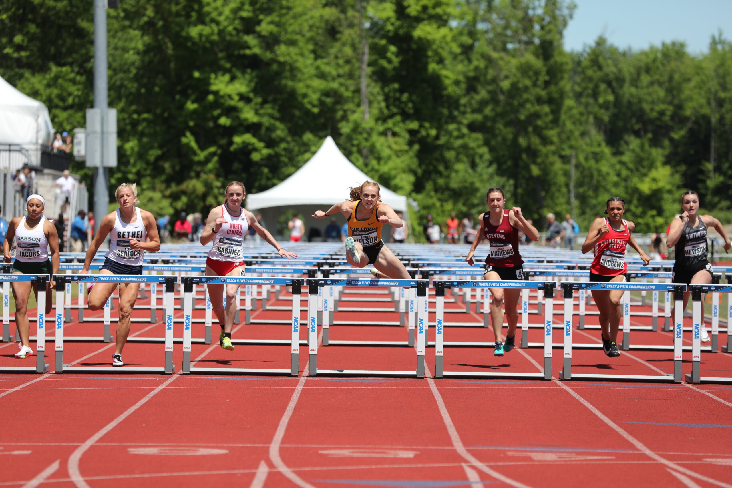 Gustavus Track Star Exemplifies the Student-Athlete